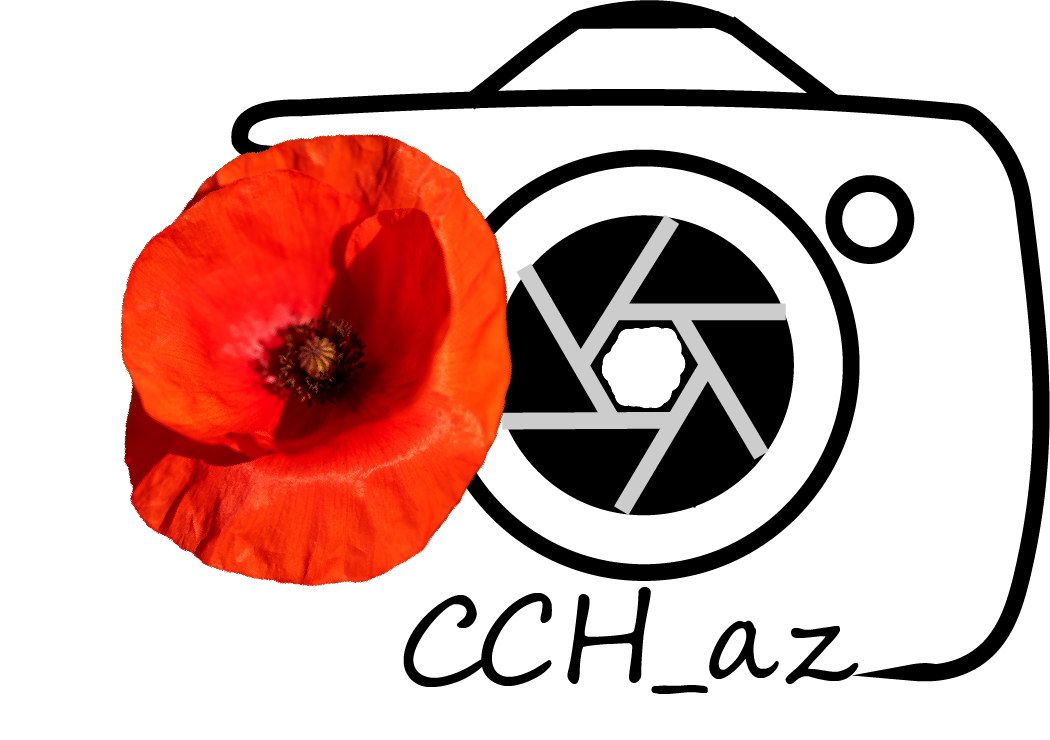 photo coquelicot logo